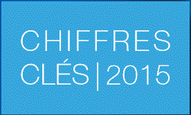 Chiffres E-commerce 2015