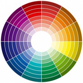 Symbolique des couleurs et charte graphique