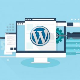 Infographie : Tout ce qu’il faut savoir sur WordPress