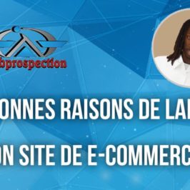 6 bonnes raisons de lancer son site de e-commerce